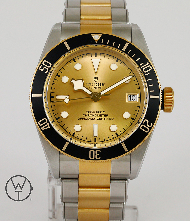 TUDOR Black Bay Ref. 79733N