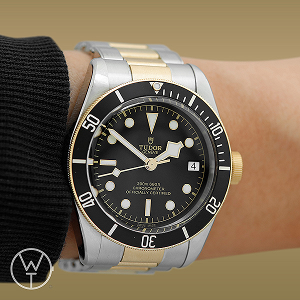 TUDOR Black Bay Ref. 79733N