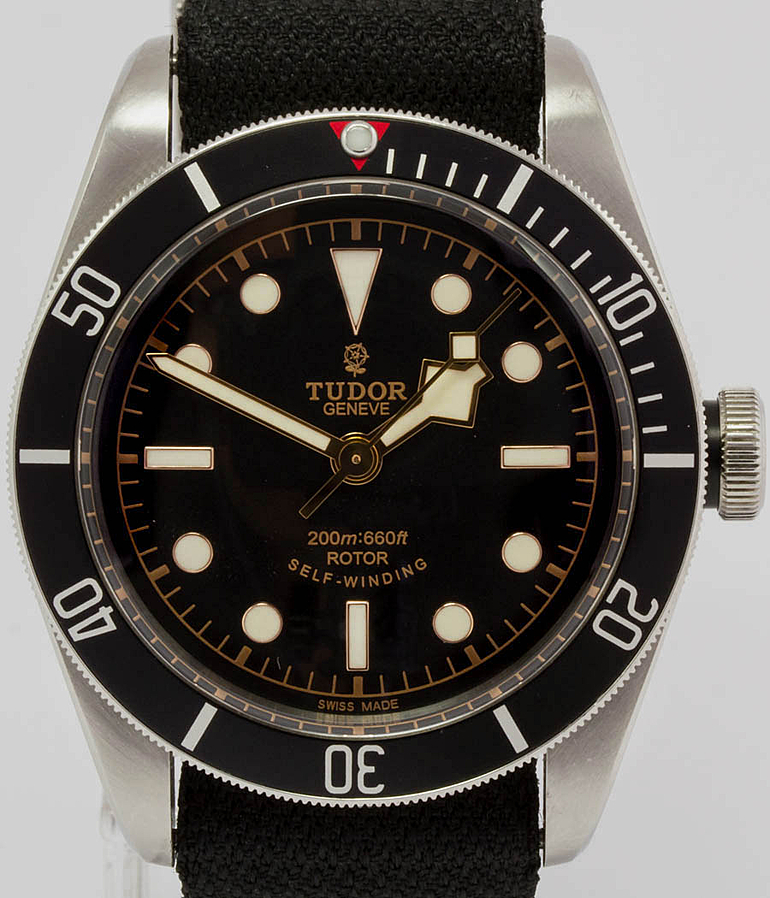 TUDOR Black Bay Ref. 79220N