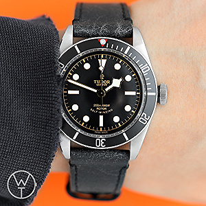 TUDOR Black Bay Ref. 79220N