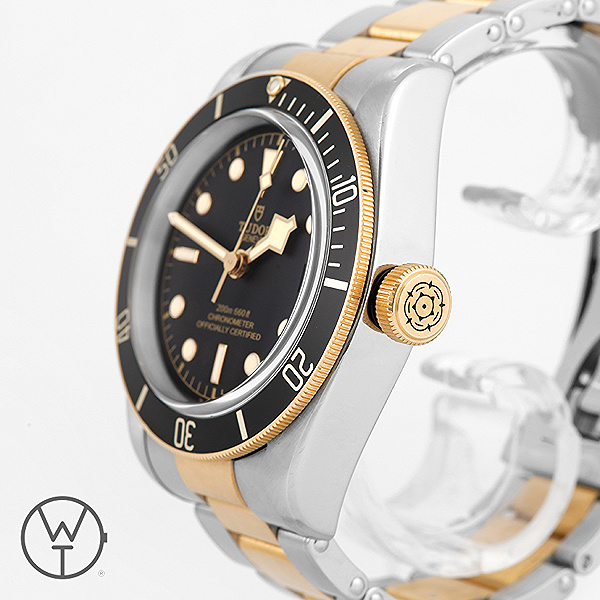 TUDOR Black Bay Ref. 79733N