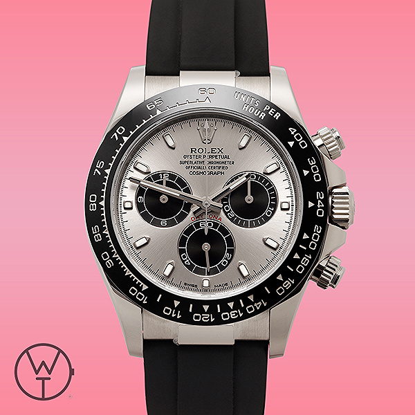 ROLEX Daytona Cosmograph Ref. 116519LN