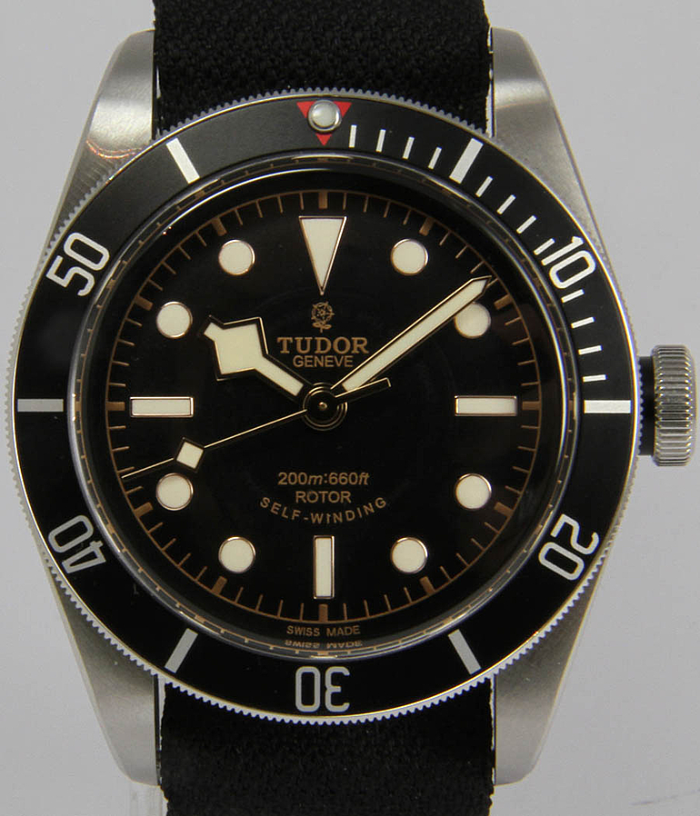TUDOR Black Bay Ref. 79220N